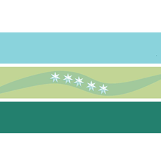 bandera sarapiqui